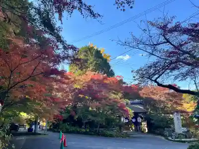 国宝　長寿寺(滋賀県)