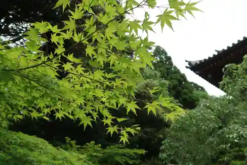 神護寺のその他建物