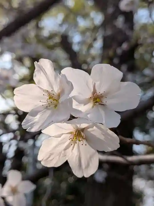 多田神社(東京都)