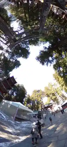 日光東照宮(栃木県)