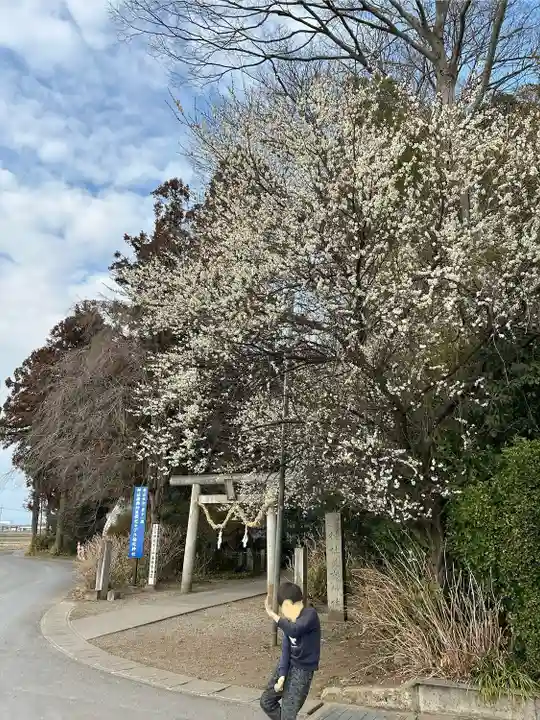 下野 星宮神社(栃木県)