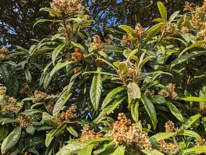 沖之御前地之御前遥拝所(島根県)