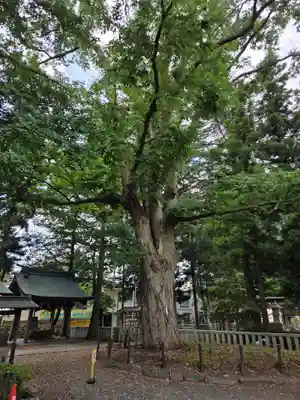 住吉神社(岩手県)