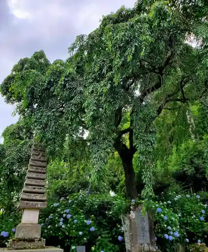 上合寺(福島県)
