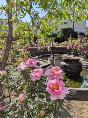 禅定院(東京都)