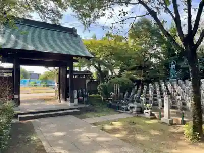 大円寺(東京都)