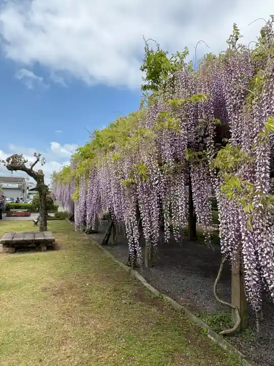 大山祇神社(愛媛県)