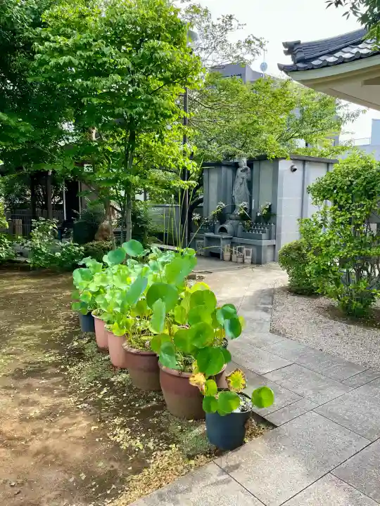 円光院(東京都)