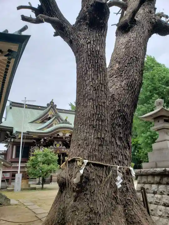 諏訪神社(東京都)