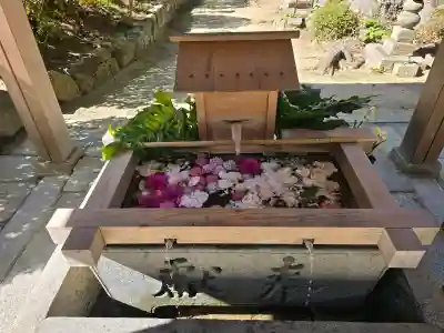 四條畷神社の{uncategorized: "未分類", other: "その他", undefined: "問題あり", building: "その他建物", grave: "お墓", sacred_gate: "鳥居", guardian: "狛犬", statue: "像", buddha: "仏像", history: "歴史", nature: "自然", garden: "庭園", animal: "動物", pagoda: "塔", temizu: "手水舎", mountain_gate: "山門・神門", sanctuary: "本殿・本堂", subordinate: "末社・摂社", art: "芸術", scenery: "景色", jizo: "地蔵", ema: "絵馬", goshuin: "御朱印", omikuji: "おみくじ", items: "授与品その他", amulet: "お守り", goshuincho: "御朱印帳", eats: "食事", festival: "お祭り", votive_dance: "神楽", shichigosan: "七五三参", wedding: "結婚式", experience: "体験その他", initially: "初詣", around: "周辺", anti_infection: "感染症対策"}