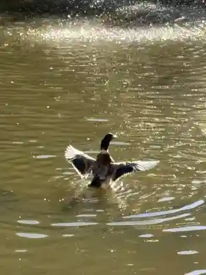 生田神社の庭園