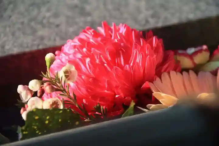 豊景神社の手水舎