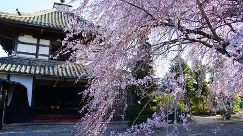 典厩寺のその他建物
