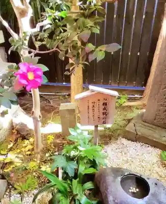 陽運寺(東京都)