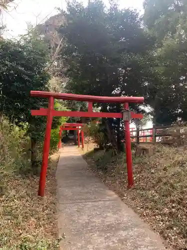 お仙稲荷大明神の鳥居