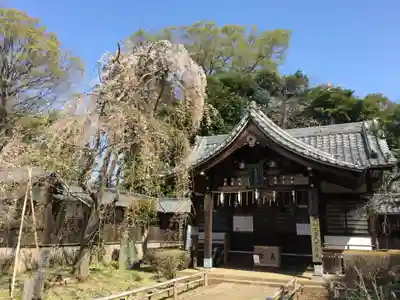 弘法寺の本殿・本堂