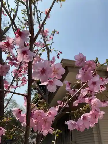 富部神社(愛知県)