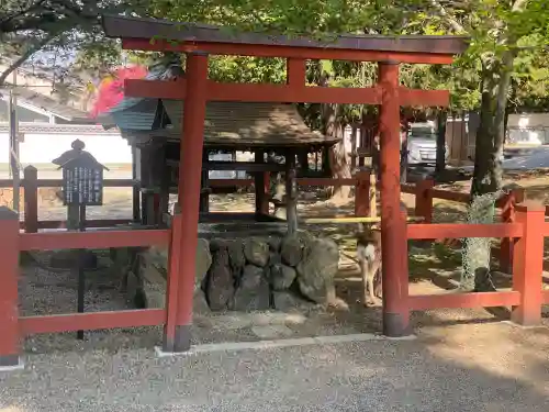 氷室神社の{uncategorized: "未分類", other: "その他", undefined: "問題あり", building: "その他建物", grave: "お墓", sacred_gate: "鳥居", guardian: "狛犬", statue: "像", buddha: "仏像", history: "歴史", nature: "自然", garden: "庭園", animal: "動物", pagoda: "塔", temizu: "手水舎", mountain_gate: "山門・神門", sanctuary: "本殿・本堂", subordinate: "末社・摂社", art: "芸術", scenery: "景色", jizo: "地蔵", ema: "絵馬", goshuin: "御朱印", omikuji: "おみくじ", items: "授与品その他", amulet: "お守り", goshuincho: "御朱印帳", eats: "食事", festival: "お祭り", votive_dance: "神楽", shichigosan: "七五三参", wedding: "結婚式", experience: "体験その他", initially: "初詣", around: "周辺", anti_infection: "感染症対策"}