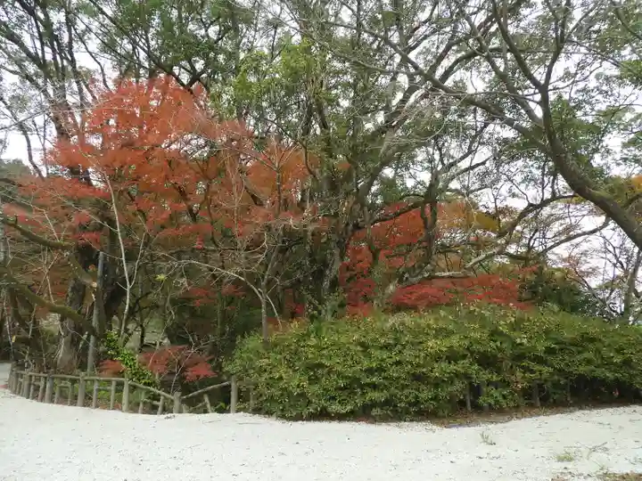 蒲生八幡神社の自然