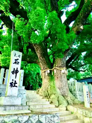 石神社の自然