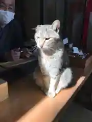 野木神社の動物