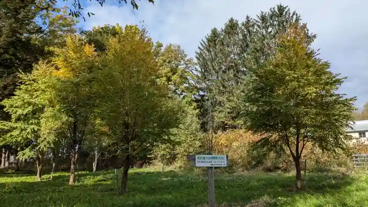 智恵文神社の自然