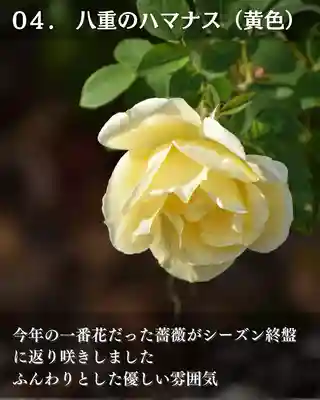 宝光寺(北海道)