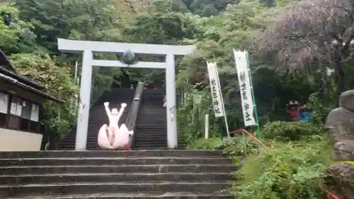 桃太郎神社（栗栖）の鳥居