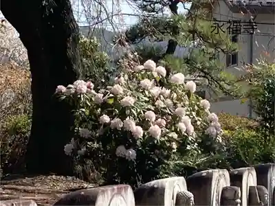 永福寺(長野県)
