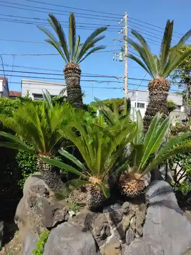 九品寺(神奈川県)
