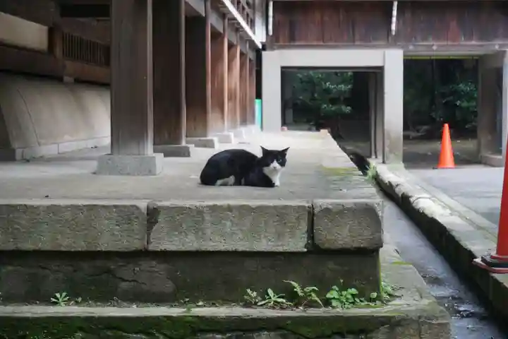 法明寺の動物