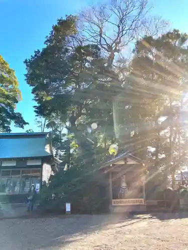 酒列磯前神社の建物その他