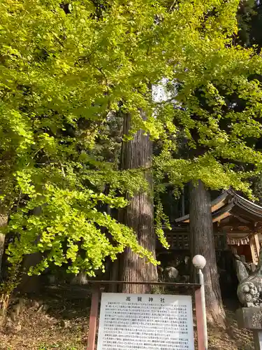 高賀神社(岐阜県)