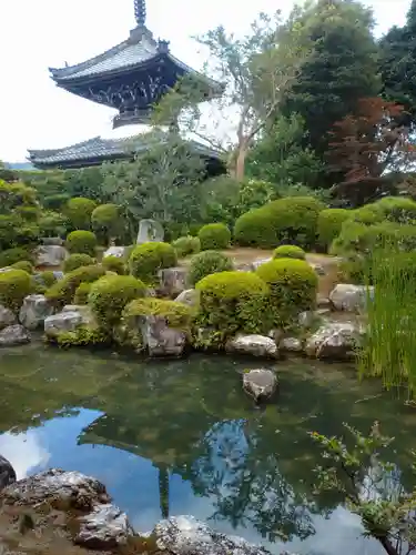 穴太寺の庭園