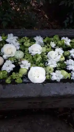 行田八幡神社の手水舎