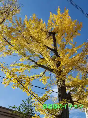 阿邪訶根神社(福島県)