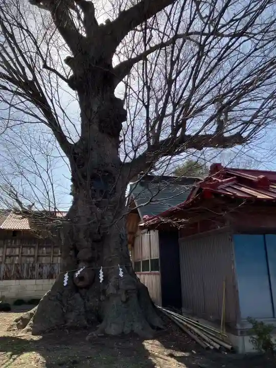 大沖神社の{uncategorized: "未分類", other: "その他", undefined: "問題あり", building: "その他建物", grave: "お墓", sacred_gate: "鳥居", guardian: "狛犬", statue: "像", buddha: "仏像", history: "歴史", nature: "自然", garden: "庭園", animal: "動物", pagoda: "塔", temizu: "手水舎", mountain_gate: "山門・神門", sanctuary: "本殿・本堂", subordinate: "末社・摂社", art: "芸術", scenery: "景色", jizo: "地蔵", ema: "絵馬", goshuin: "御朱印", omikuji: "おみくじ", items: "授与品その他", amulet: "お守り", goshuincho: "御朱印帳", eats: "食事", festival: "お祭り", votive_dance: "神楽", shichigosan: "七五三参", wedding: "結婚式", experience: "体験その他", initially: "初詣", around: "周辺", anti_infection: "感染症対策"}