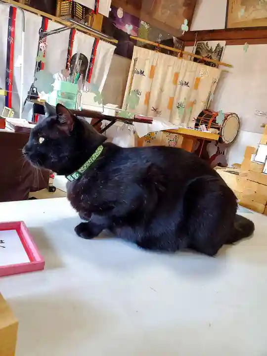 高司神社〜むすびの神の鎮まる社〜(福島県)