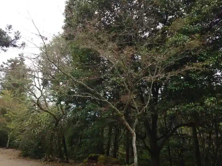 厳島神社(広島県)