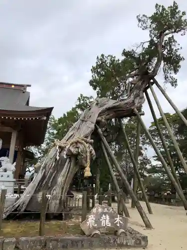 新北神社の自然