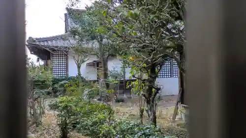 觀樹院（観樹院）(滋賀県)