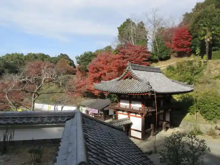 岡寺(龍蓋寺)(奈良県)