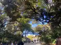 明治神宮(東京都)