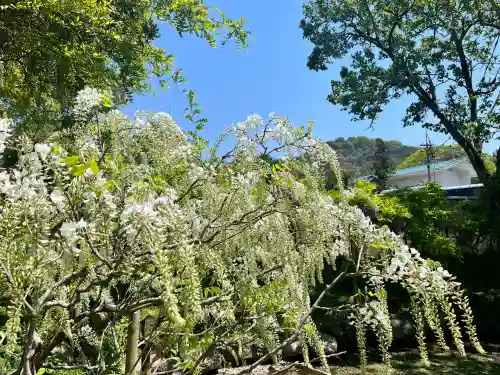 歌泉堂（春日大社神苑萬葉植物園内鎮座）(奈良県)