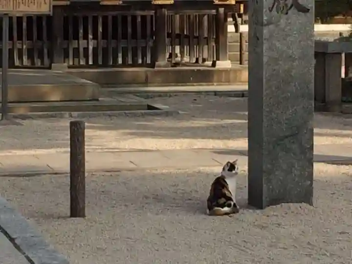 若松恵比須神社 (福岡県)