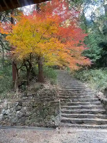 財賀寺(愛知県)