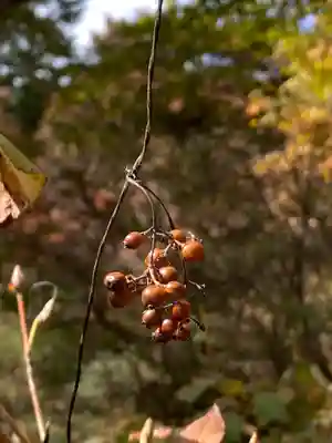 十二山神社(群馬県)