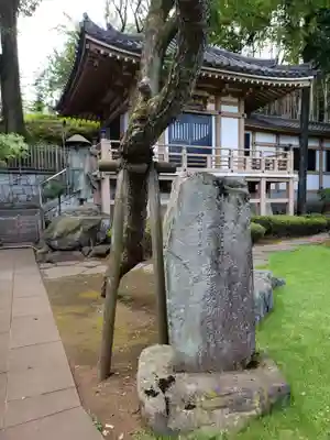 東光寺(東京都)