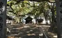 志賀神社のその他建物