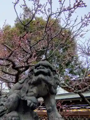 湯島天満宮(東京都)